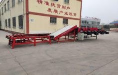 羞羞答答网站分选机  生产
