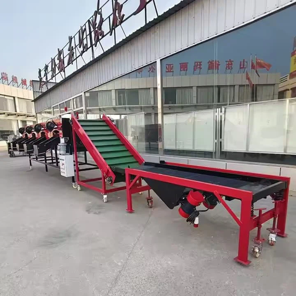 羞羞答答网站筛选机